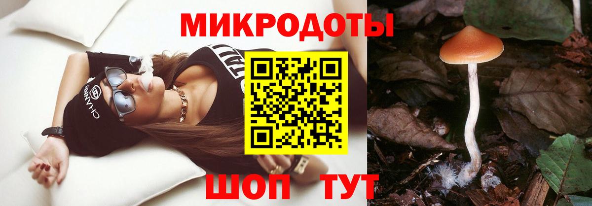 Галлюциногенные грибы MAGIC MUSHROOMS Кушва